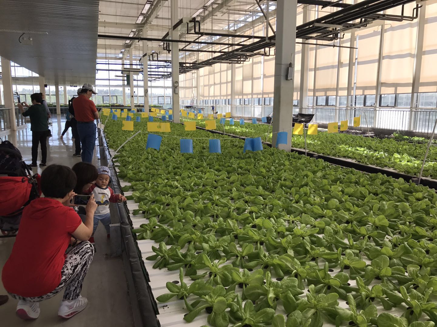 科技赋能农业，房山“秋收节”邀市民体验农业高科技